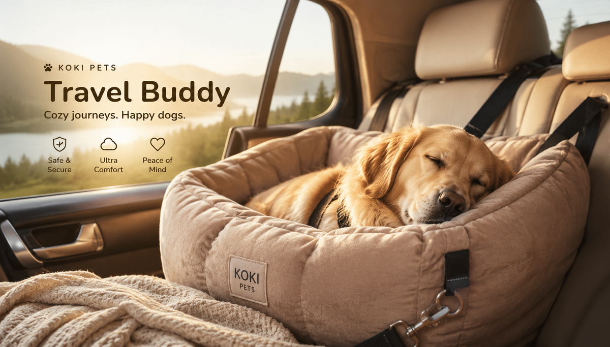 How to Keep Your Dog Calm and Safe During Car Rides