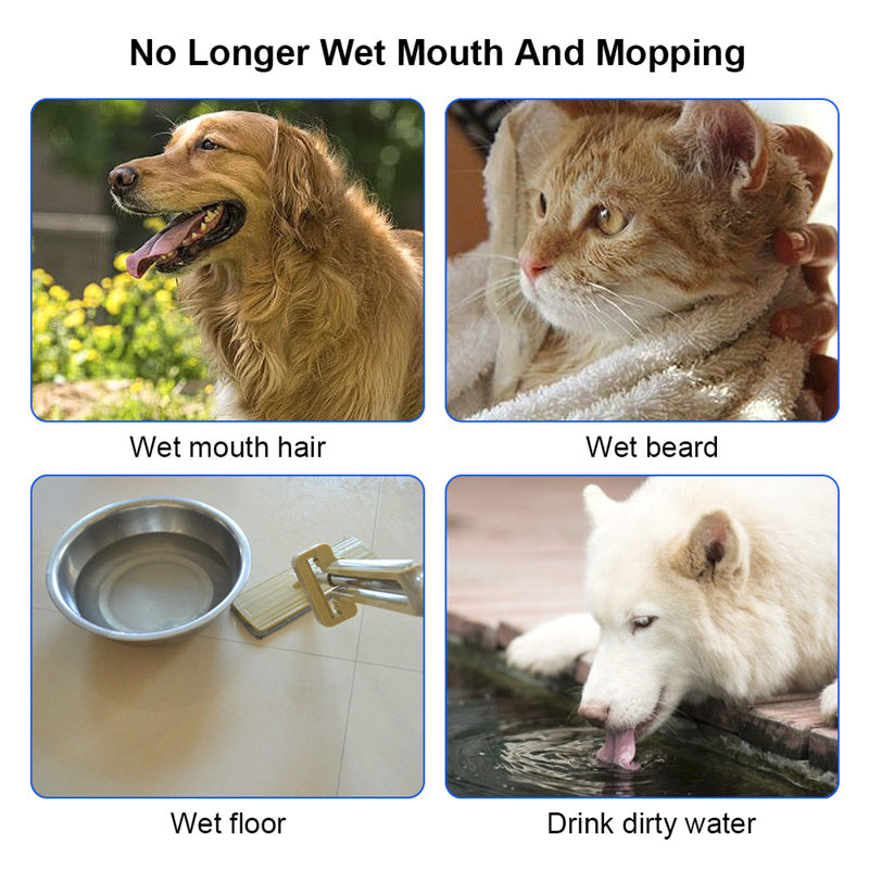 SplashGuard No-Spill Dog Water Bowl